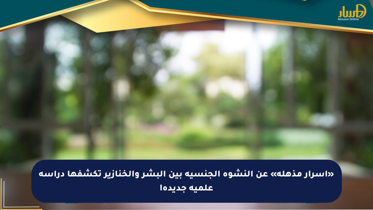 «أسرار مذهلة» عن النشوة الجنسية بين البشر والخنازير تكشفها دراسة علمية جديدة!